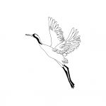 crane bird